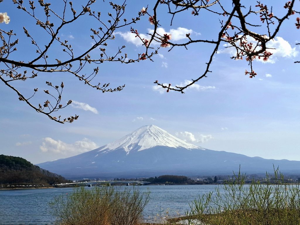 Cómo organizar un viaje a Japón por libre (paso a paso) Monte Fuji visto desde el lago Kawaguchi en primavera, Japón.