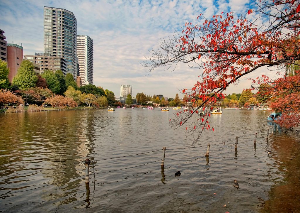 Paseo entre árboles en Ueno Park, Tokio